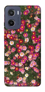 Чохол на Motorola Moto G05 Flowers v8 фото 1 з 1