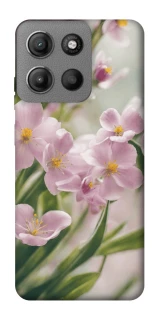 Чохол на Motorola Moto G15 Power Spring фото 1 з 1