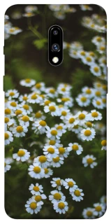 Чехол на OnePlus 7 Ромашки v13 фото 1 из 1