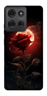 Чехол на Motorola Moto G75 Красная роза фото 1 из 1