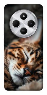 Чехол на Xiaomi Redmi 14C / Poco C75 Cat paws фото 1 из 1