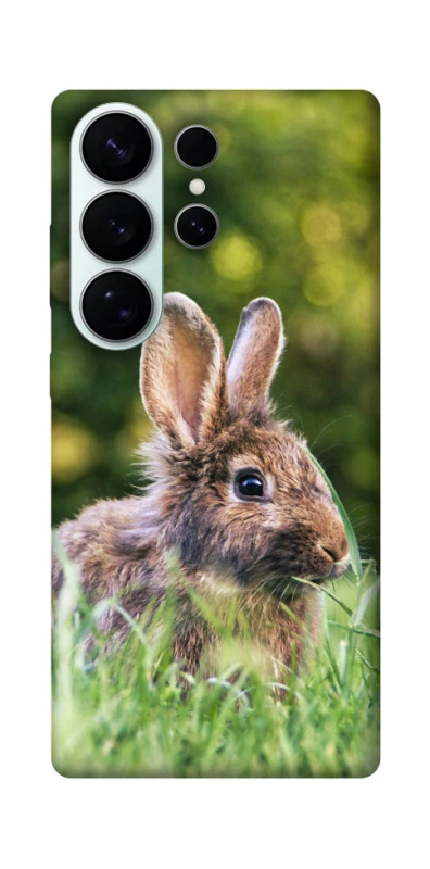 Чехол на Samsung Galaxy S26 Pro Кролики фото 1 из 1