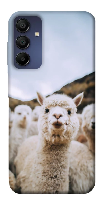 Чехол на Samsung Galaxy A15 4G/5G Лама фото 1 из 1
