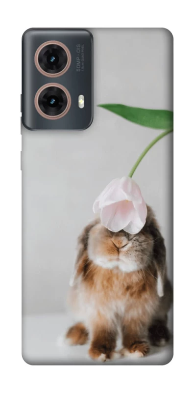 Чохол на Motorola Moto G85 Bunny фото 1 з 1