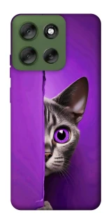 Чохол на Motorola Moto G56 5G Кіт-підглядач фото 1 з 1