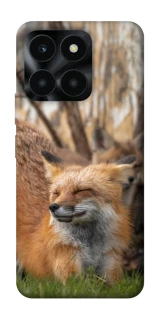 Чехол на Huawei Honor X6a Лиса фото 1 из 1