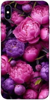 Чохол на Apple iPhone X (5.8") Garden2 фото 1 з 1