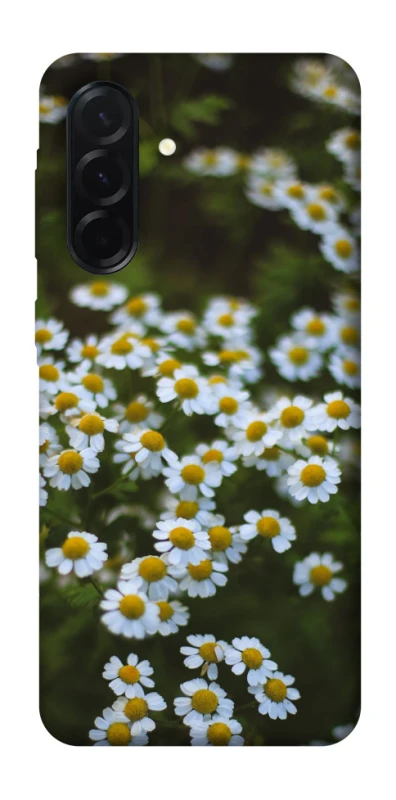 Чехол на Samsung Galaxy A37 5G Ромашки v13 фото 1 из 1