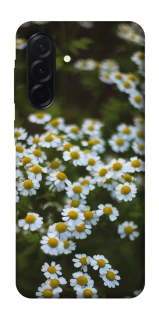 Чехол на Samsung Galaxy A37 5G Ромашки v13 фото 1 из 1