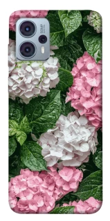 Чохол на Motorola Moto G23 Secret Garden фото 1 Чохол на Motorola Moto G23 Secret Garden фото 1 з 1