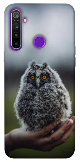 Чехол на Realme 5 Совёнок фото 1 из 1