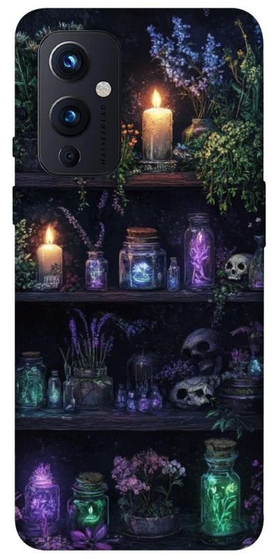 Чехол на OnePlus 9 Magic shelf ver.1 фото 1 из 1