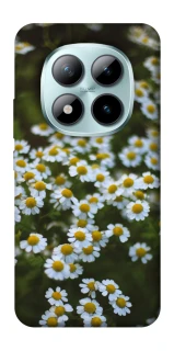 Чехол на Xiaomi Redmi Note 15 Pro+ 5G Ромашки v13 фото 1 из 1