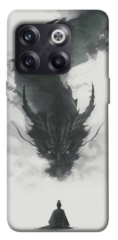 Чехол на OnePlus 10T dragon mood фото 1 из 1