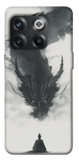 Чехол на OnePlus 10T dragon mood фото 1 из 1