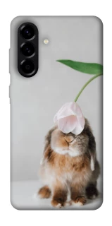 Чохол на Samsung Galaxy A56 5G Bunny фото 1 з 1