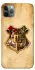Чохол на Apple iPhone 11 Pro Max (6.5") Harry Potter mood v1 фото 1 з 1
