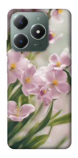 Чохол на Realme C61 Spring фото 1 з 1