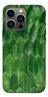 Чохол на Apple iPhone 13 Pro (6.1") Листя фото 1 з 1