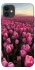 Чехол на Apple iPhone 11 (6.1") Spring Awakening фото 1 из 1