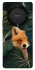 Чехол на Huawei Magic5 Lite Fox фото 1 из 1