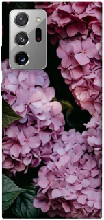 Чохол на Samsung Galaxy Note 20 Ultra Рожеві гартензії фото 1 з 1