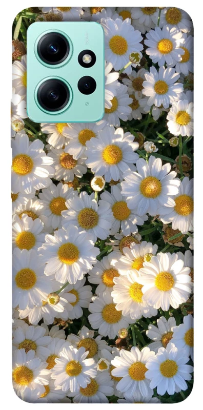 Чохол на Xiaomi Redmi Note 12 4G Поле ромашок фото 1 з 1