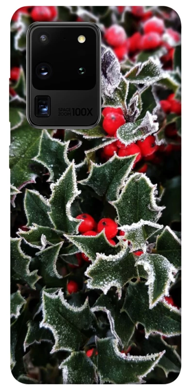 Чохол на Samsung Galaxy S20 Ultra Новорічний v32 фото 1 з 1