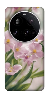 Чохол на Xiaomi 15 Ultra Spring фото 1 з 1