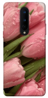 Чохол на OnePlus 8 Beauty фото 1 з 1
