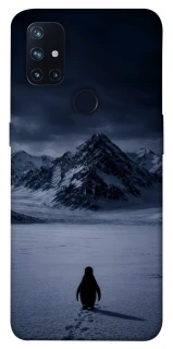 Чохол на OnePlus Nord N10 5G But why? фото 1 з 1