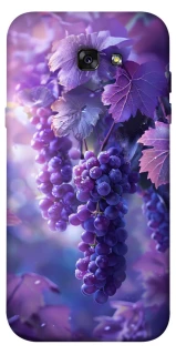 Чохол на Samsung A720 Galaxy A7 (2017) Bunch of grapes фото 1 з 1