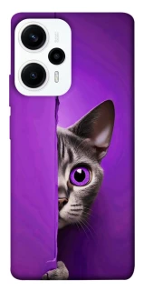 Чохол на Xiaomi Poco F5 / Note 12 Turbo Кіт-підглядач фото 1 з 1