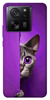 Чехол на Xiaomi 13T Pro Кот-подглядыватель фото 1 Чехол на Xiaomi 13T Pro Кот-подглядыватель фото 1 из 1