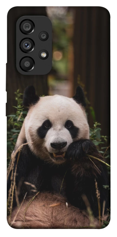 Чехол на Samsung Galaxy A53 5G Панда фото 1 из 1