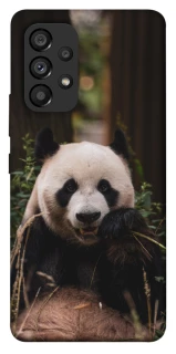 Чехол на Samsung Galaxy A53 5G Панда фото 1 из 1