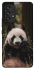 Чехол на Samsung Galaxy A53 5G Панда фото 1 из 1