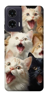Чохол на Motorola Moto G35 Коти фото 1 з 1