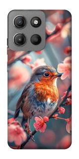 Чехол на Motorola Moto G15 Power Birdie фото 1 из 1