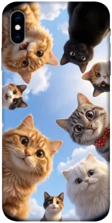 Чехол на Apple iPhone X (5.8") Cats фото 1 из 1