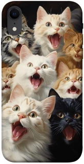 Чохол на Apple iPhone XR (6.1") Коти фото 1 з 1