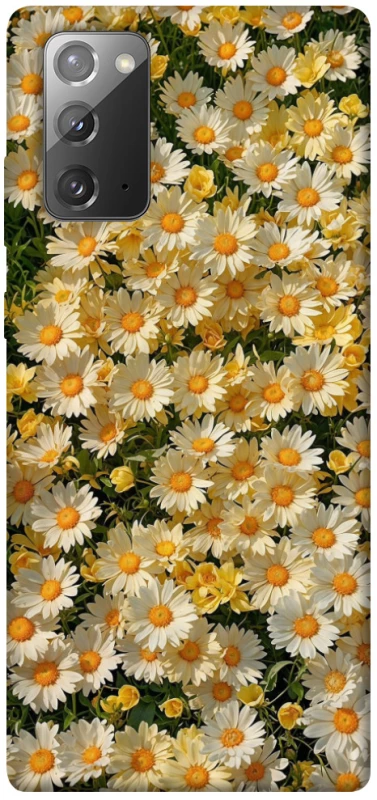 Чехол на Samsung Galaxy Note 20 Camomile фото 1 из 1