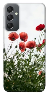 Чохол на Samsung Galaxy A24 4G Поле маків фото 1 з 1