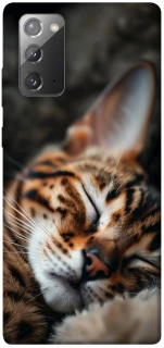 Чехол на Samsung Galaxy Note 20 Cat paws фото 1 из 1
