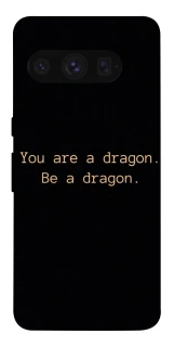 Чехол на Google Pixel 8 Pro House of the Dragon ver.9 фото 1 из 1
