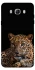 Чохол на Samsung J710F Galaxy J7 (2016) Leopard v4 фото 1 з 1