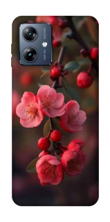 Чохол на Motorola Moto G54 Power Flowers v28 фото 1 з 1