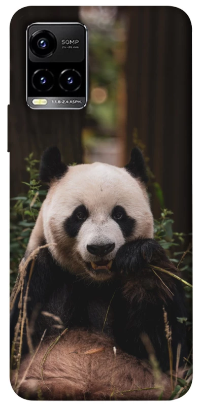 Чехол на Vivo Y21 / Y33s Панда фото 1 из 1