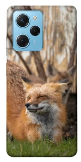 Чехол на Xiaomi Poco X5 Pro 5G Лиса фото 1 из 1