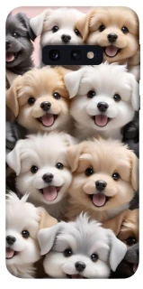 Чохол на Samsung Galaxy S10e Doggy Love фото 1 з 1